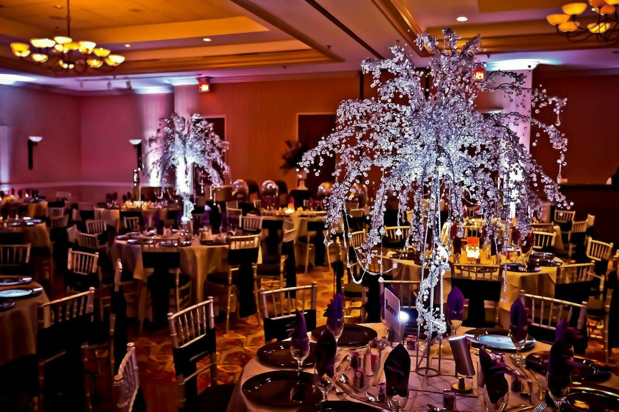 Hilton Hotel